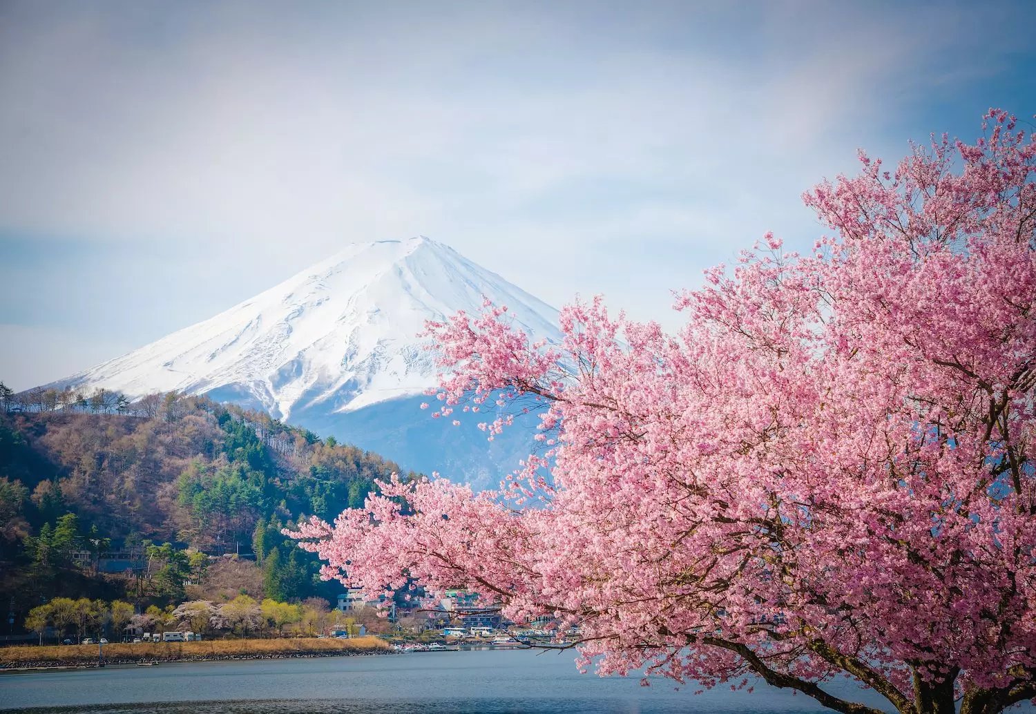 Climbing Fuji-san | No1 Mountain in Japan