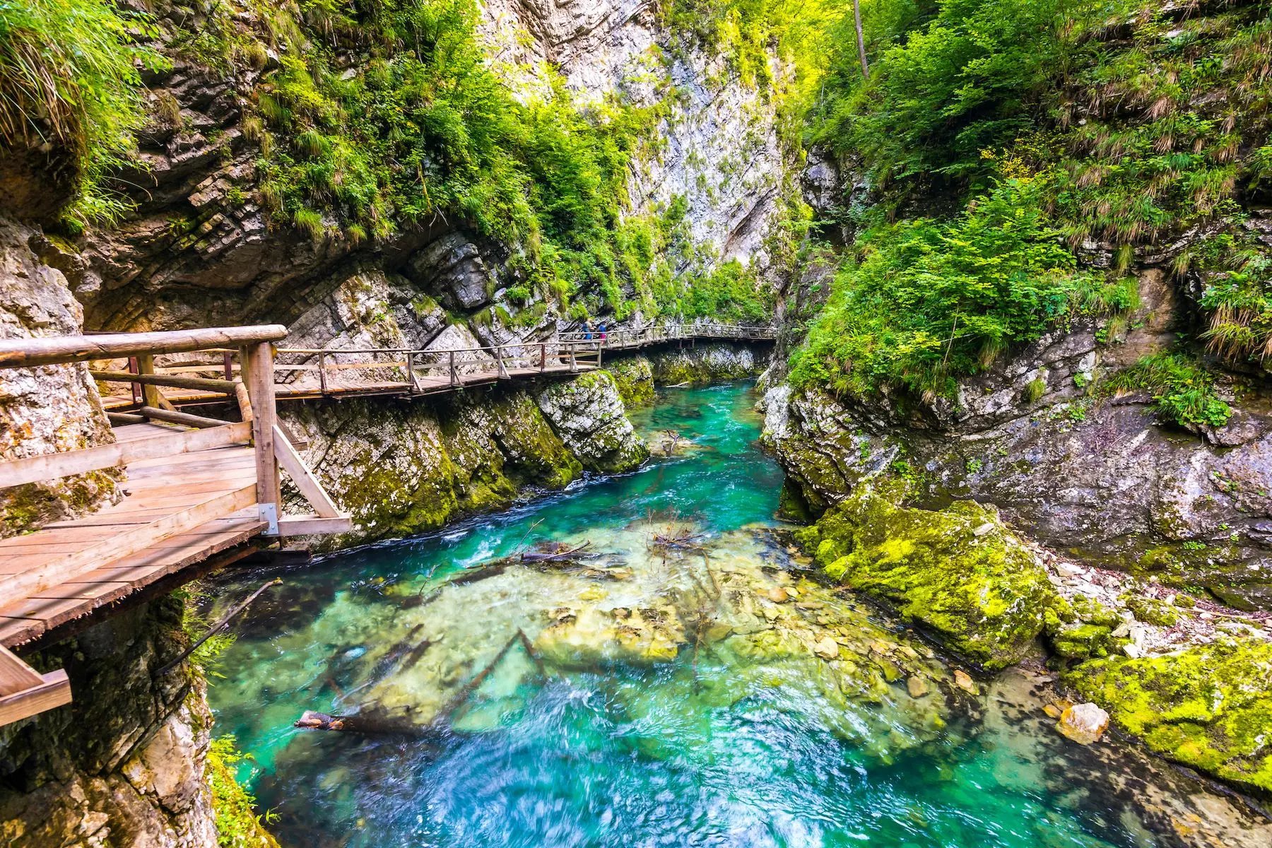 The romantic Vintgar Gorge, Slovenia