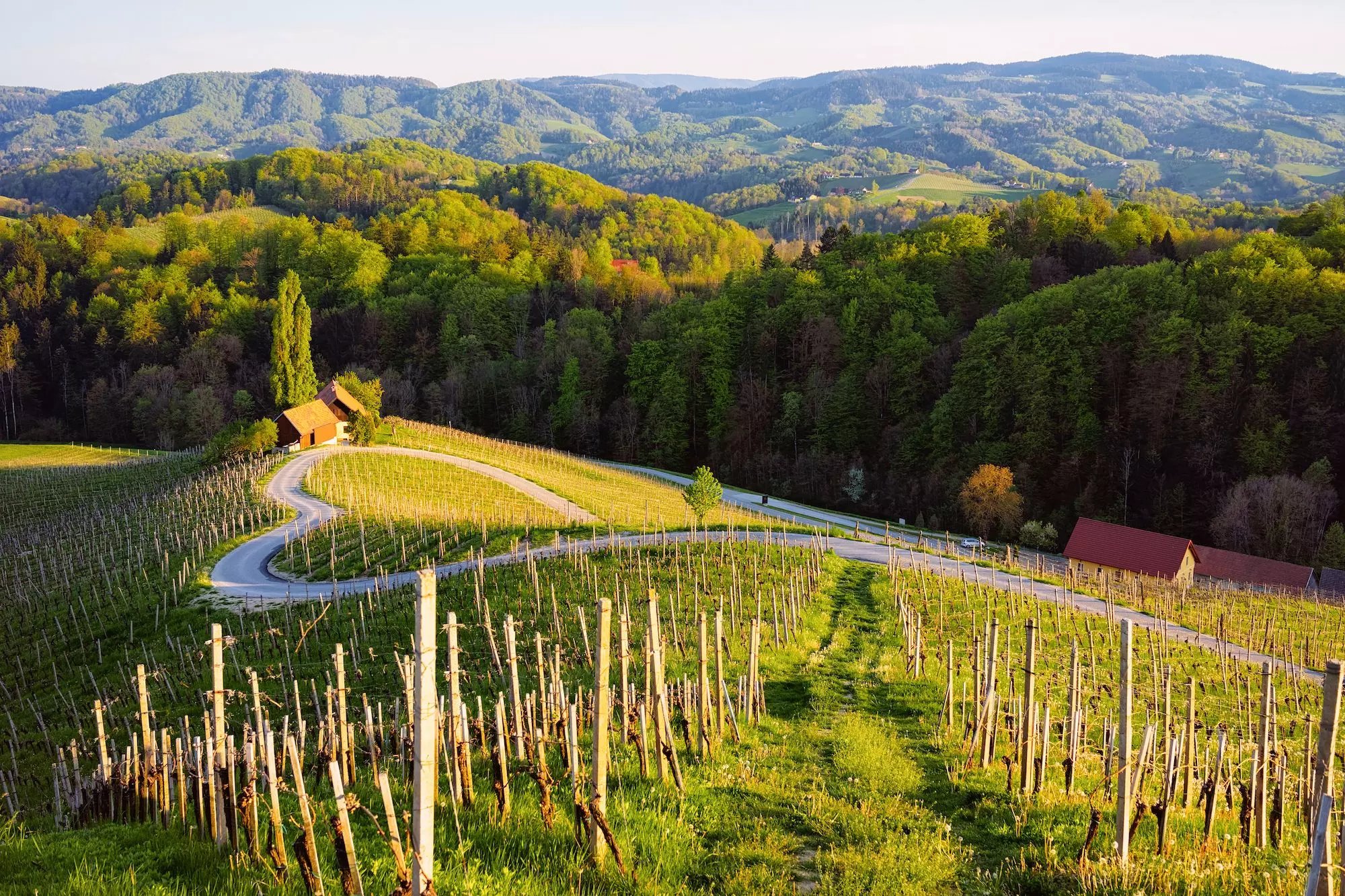 Spicnik, a szív alakú út - Szlovénia Kisokos