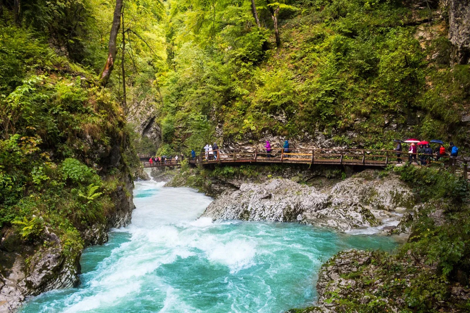 Slovenia's Top 13 Gorges - Address, prices, opening hours ...