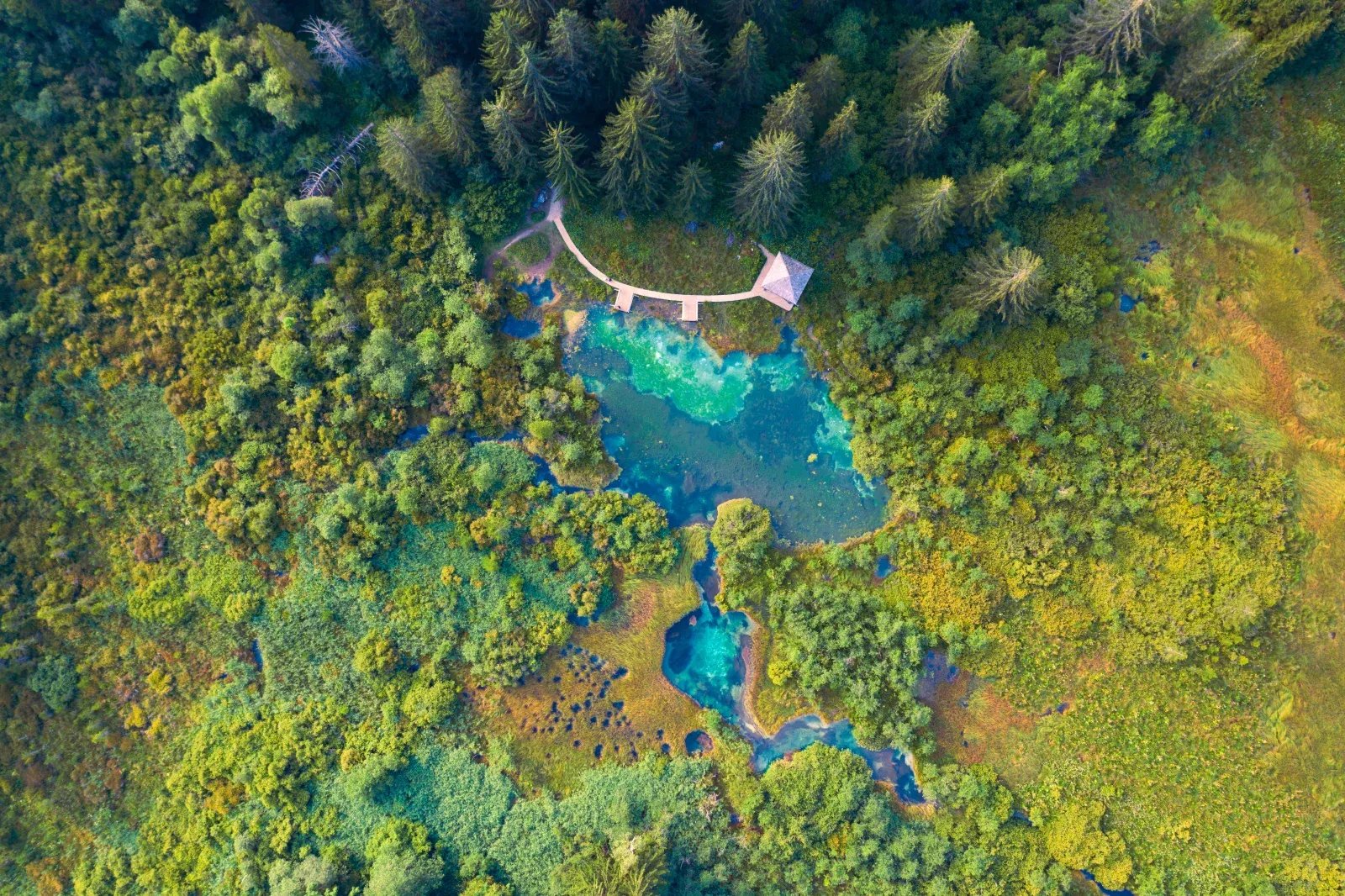 Zelenci Reserve, Slovenia - Visiting Guide 2022