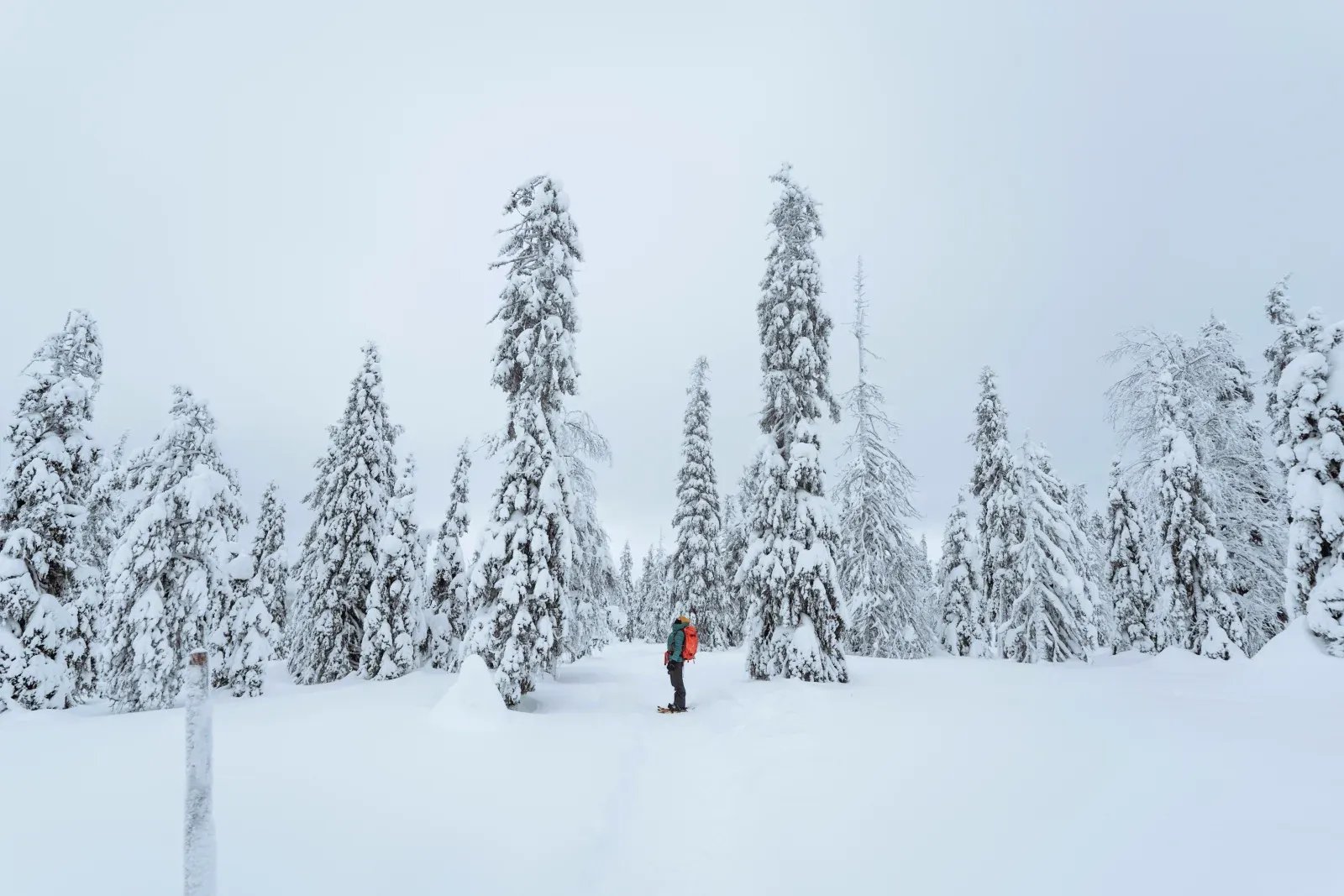TOP 10 Winter Activities in Zillertal