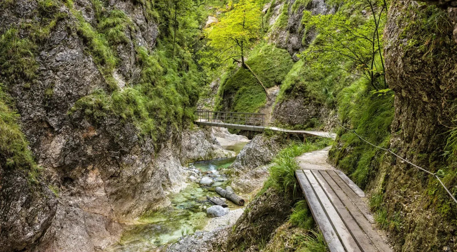Almbachklamm 2022 - Opening hours, parking, hiking route ...