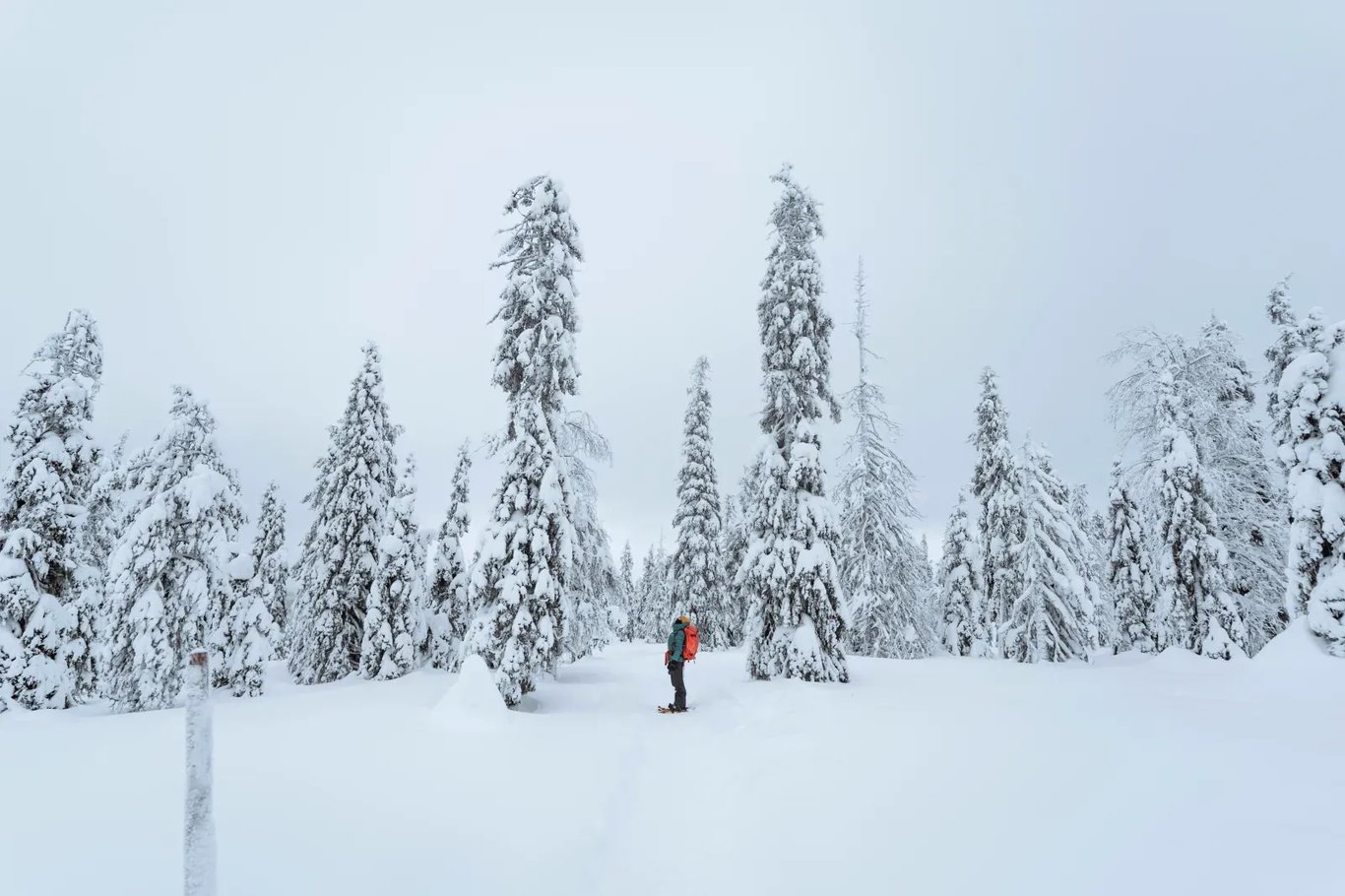 TOP 10 Winteraktivitäten im Zillertal