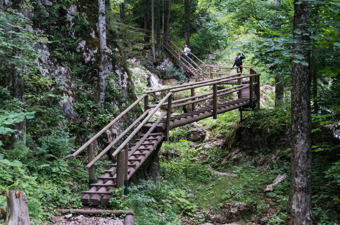 Almenland Naturpark - Die 7 besten Attraktionen, die du dir nicht entgehen lassen solltest