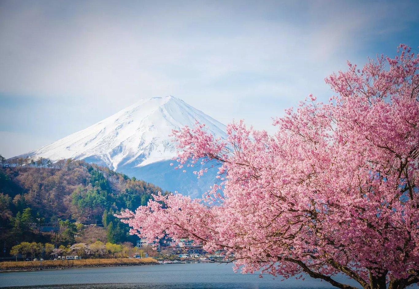 Climbing Fuji-san | No1 Mountain in Japan