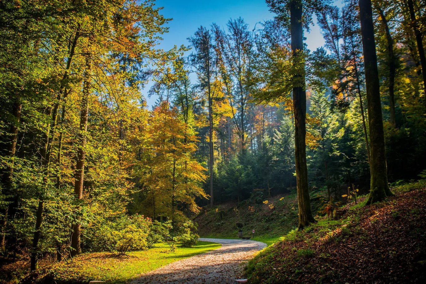 Volcji Potok Arboretum - The Most Beautiful Garden in Slovenia