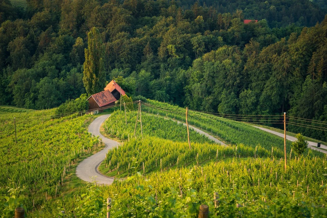 Spicnik, Slovenia (Guide) - The Heart-shaped Road