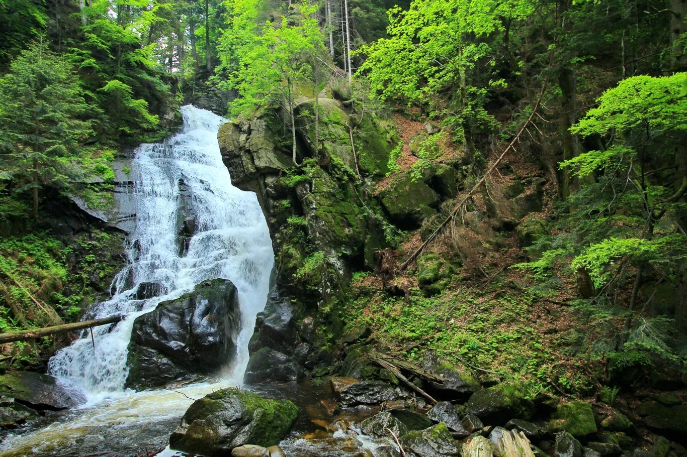 Sumik vízesés, őserdő és rezervátum - Szlovénia Kisokos